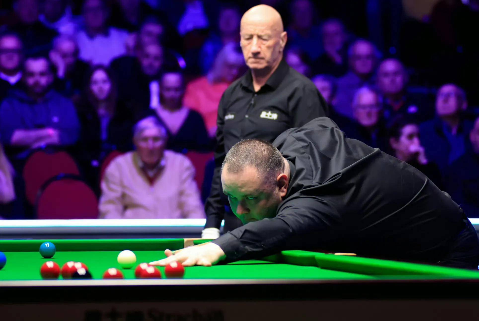 也会左右新 也会左右新