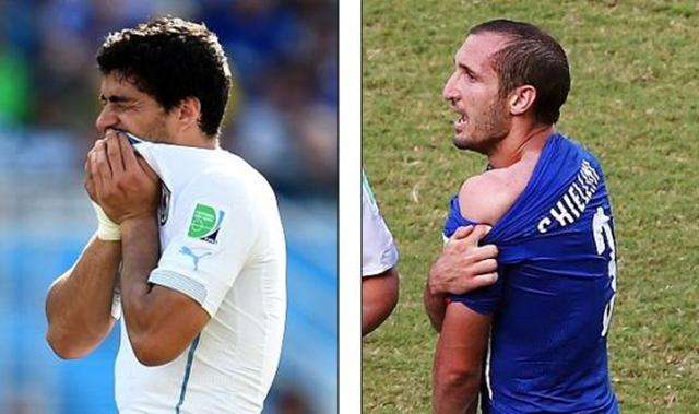 球迷们可以 球迷们可以